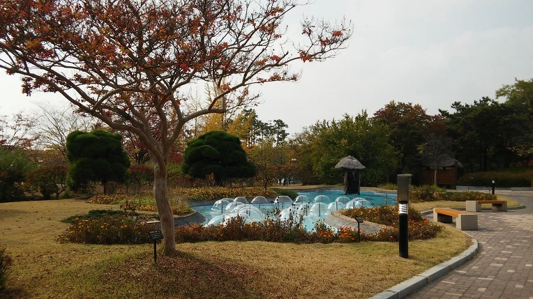 24662E33562A9F29316D90