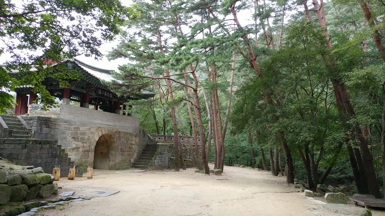 99A9D7485D9ACDD1028B50