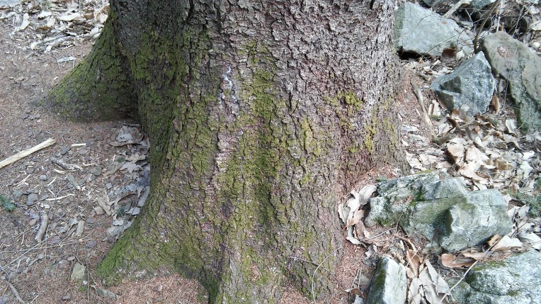 2352EE3C56F391550A2AFA