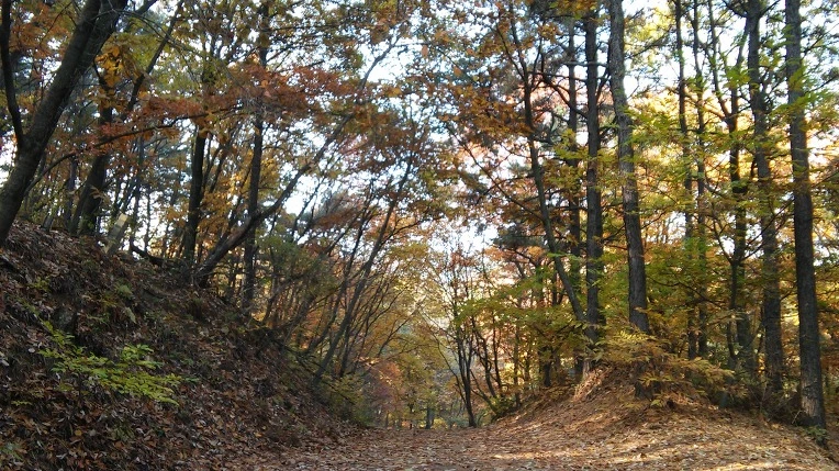 233A5D445854E0150E99D6