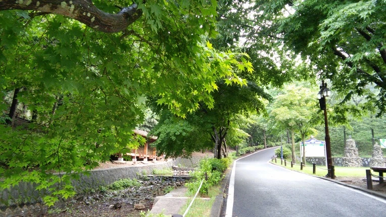 2715013B56932845083255