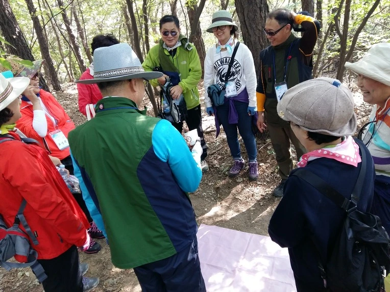 243A7D465622019B032EF8