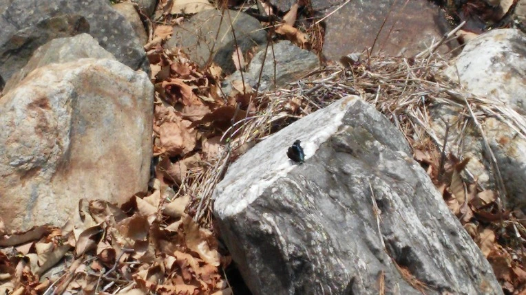 245FAC4C58DC9A9F333758