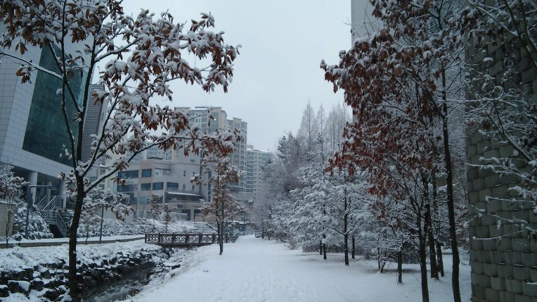 270279335878ACA31B248C