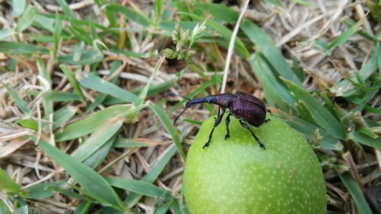 225494445745886511E554