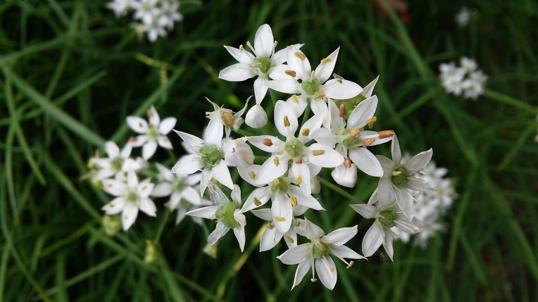 99B0963359A7DCCD021979