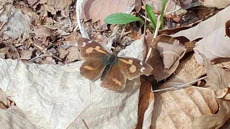 9997AF375ABD664614DCCB