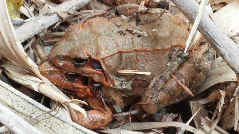 2536253E550282ED0F3406