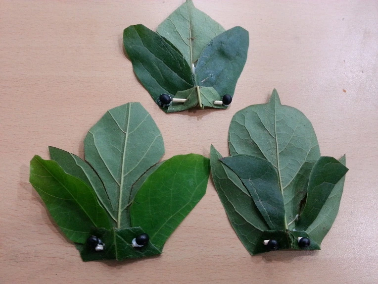 240F494455014FE03661BE