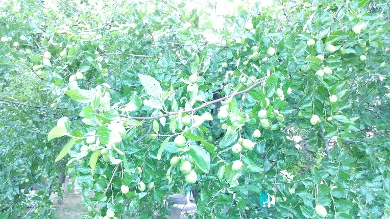 99AB3D365B6F79A63CDA54