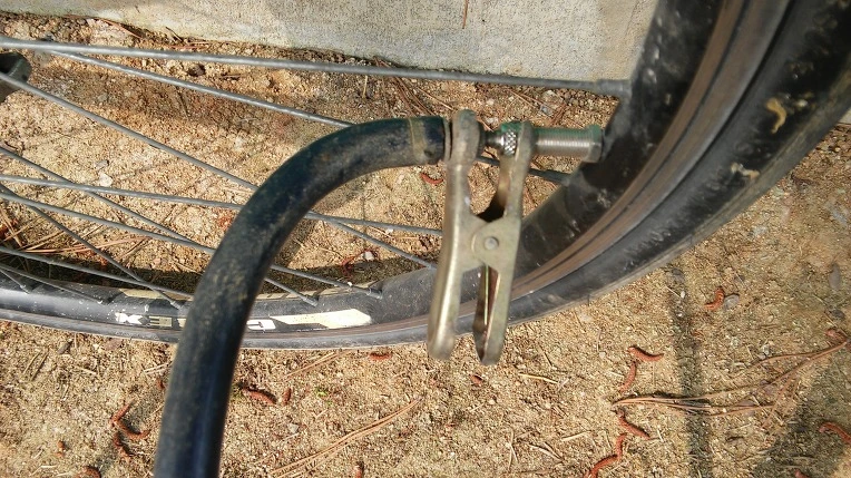 263BA23E5765F5B7266447