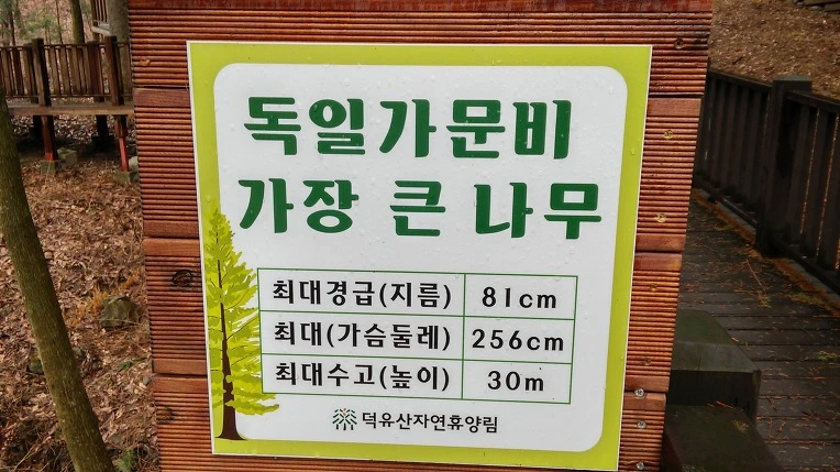 256BFB3556EB9B8F09D976