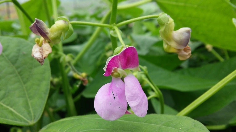 24503A33574A180E188858