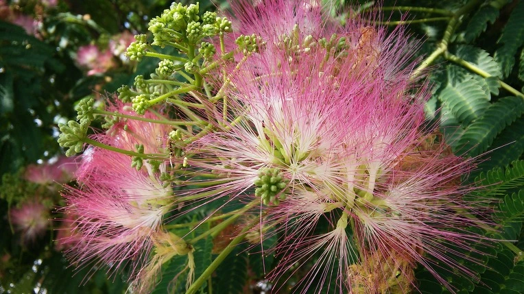 2663D34A576F7DA01218B2