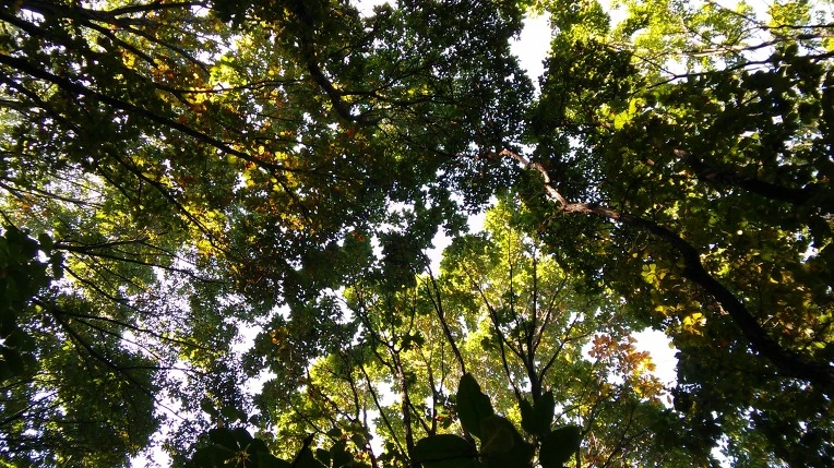 25017E49580FC96833E7BC