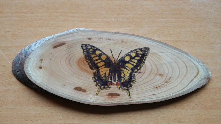 2207304F58D8DBD008DB33