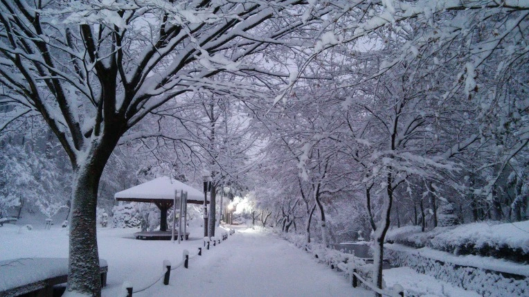 276B383E566008EC1950D6