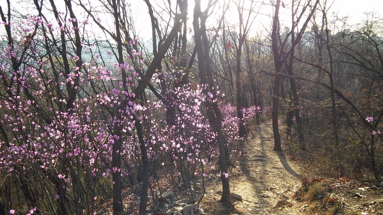 2738DD48570366A20BFA50