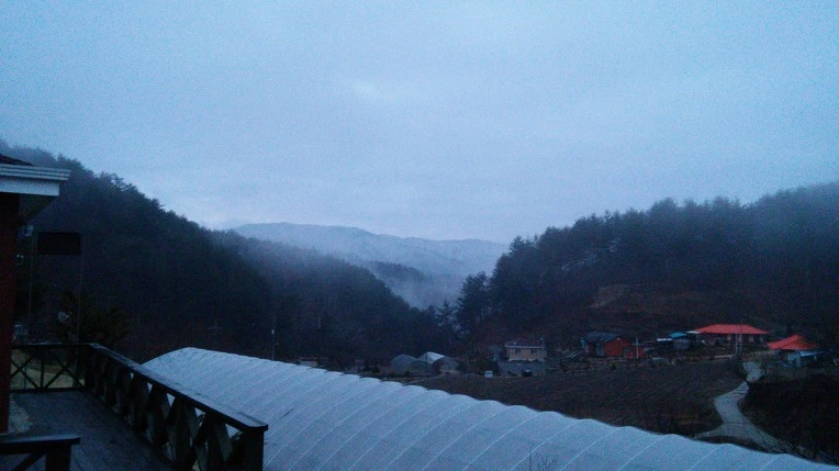 2217893C58D6E3230E8EF5