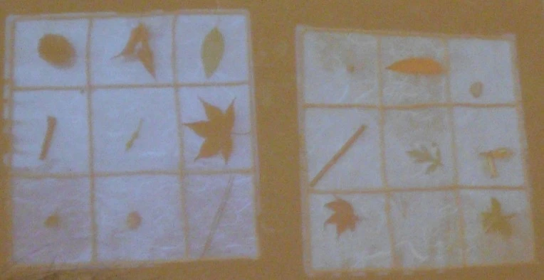 26211A3A56FA7227301945