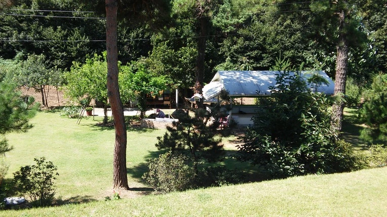 21285A3957C0FA502038B3