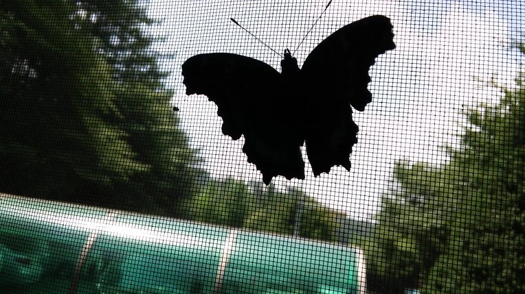 210E984555C1ABB80B8304