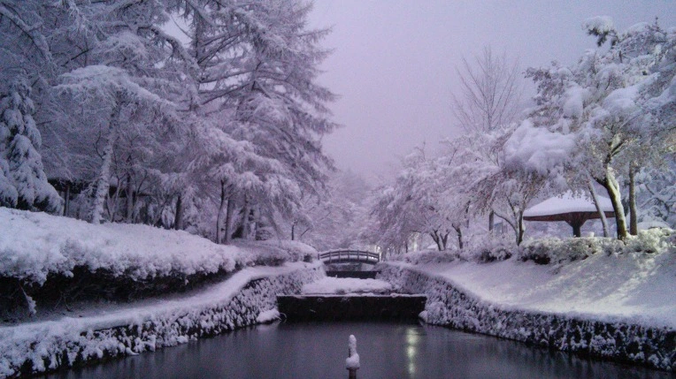 227F5F3E566008E809A28B