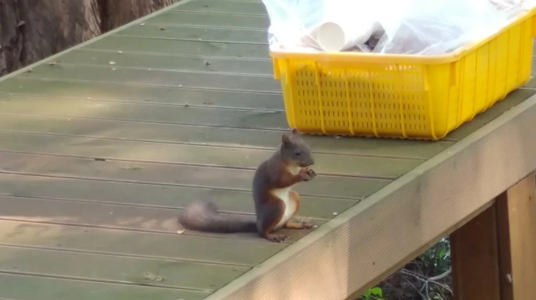 9933D5495B4D8E663BB76F