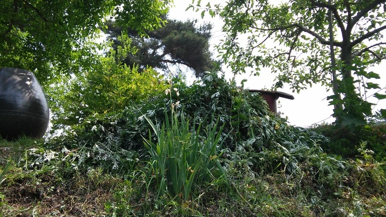 21789B345758EF85146C63