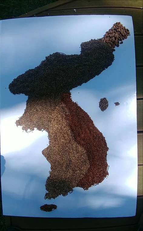 99ED874A5B4D8EDC161E68