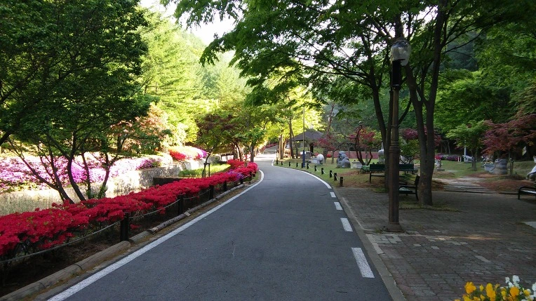 2266EB39562BFAAE1D5BA1