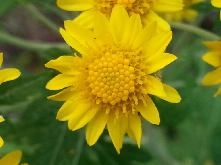 2102A450543280EC28F6B9