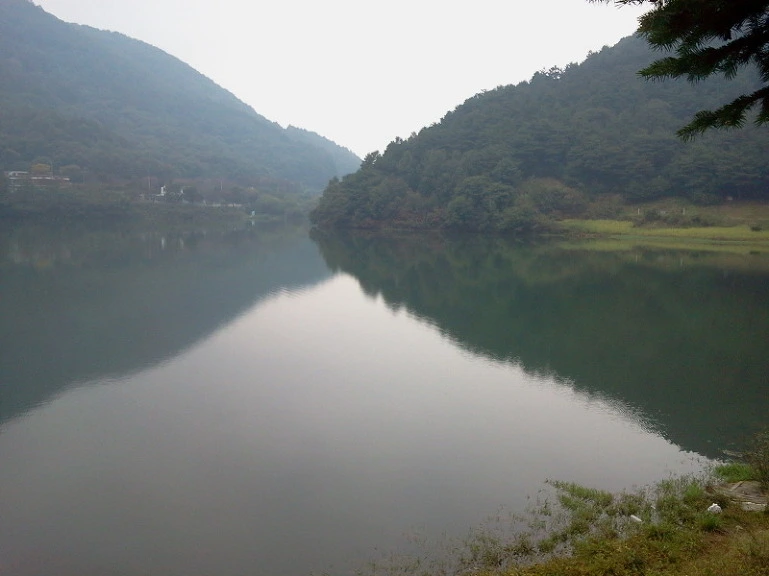 1136D83E4E8DB60202723D