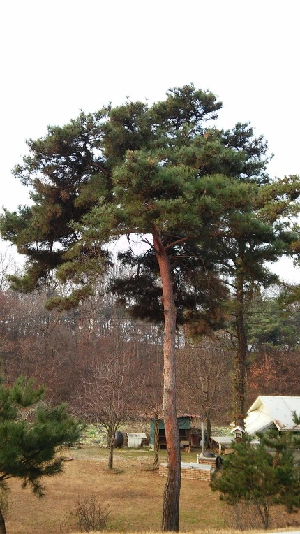 23674C4D566DDFBC300E89