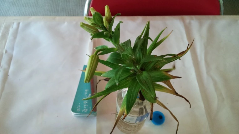 21494A3359693F251CA290