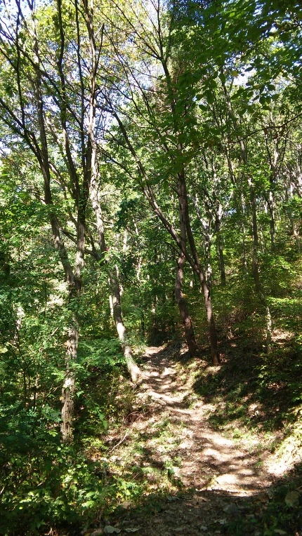 213A86365619797706D73B