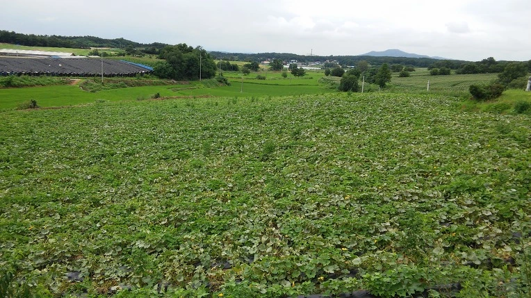 2762E445578C5B441E3F0F