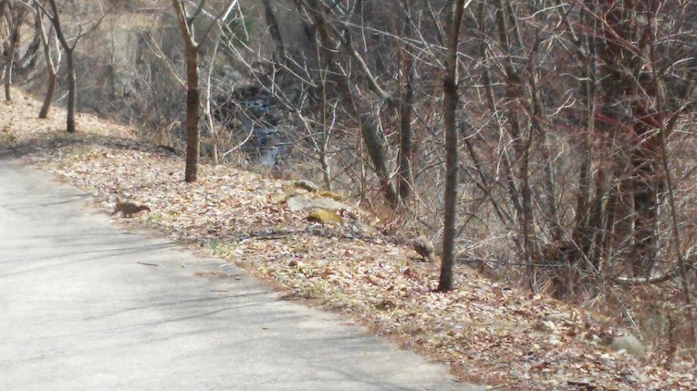 26608C4F58DC9A8D210D62