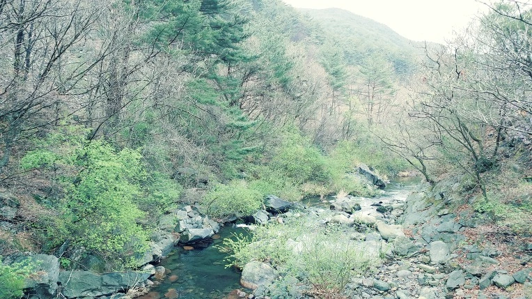 99D3BA3A5EA243FF347BE3