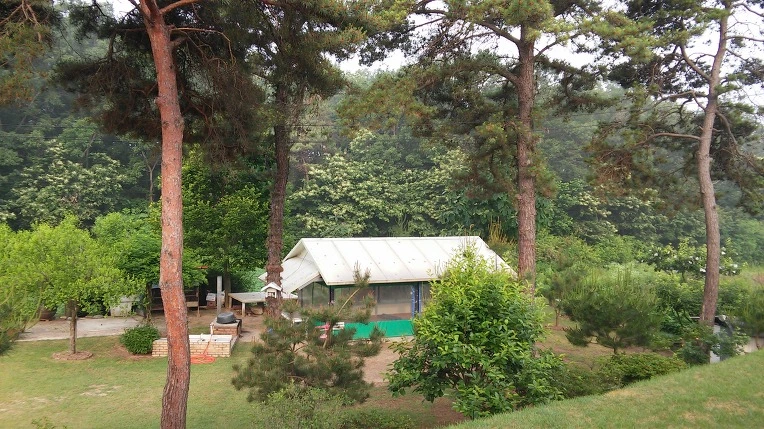 25755F395758EF5D36AB33