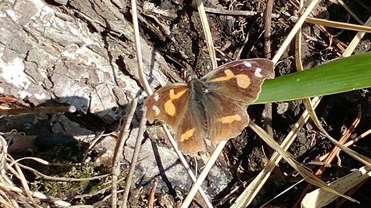 99D15D425E47193710BFE5