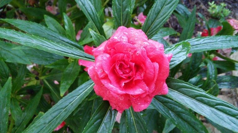 23573D3C57D0B8A52C826F