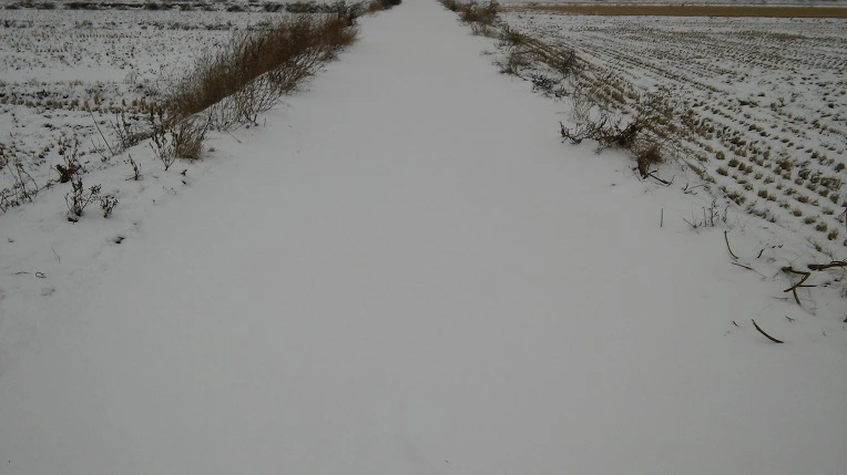 2648E1395881894E204435