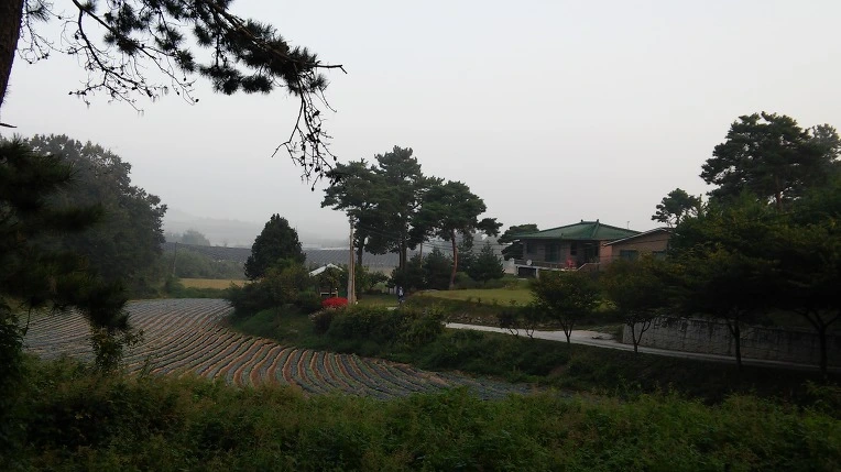 2642723557E468393246A0