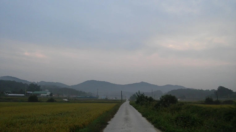 2310033E57D5E22E230DD0