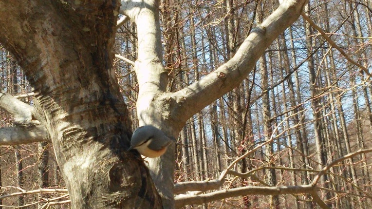 hO8si00SY18JWRS5tNw9j2Ul9bw