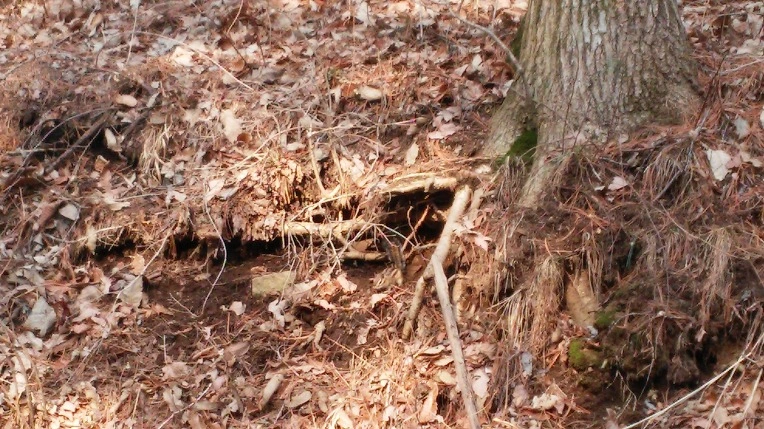 2212ED3656E771C30E71DD