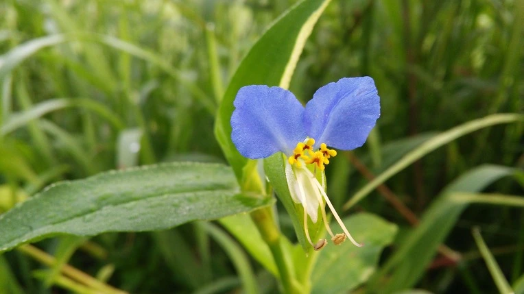 21530F4757982E7518A0CE