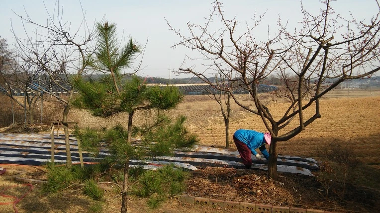 25347D4256FC8CE5014736