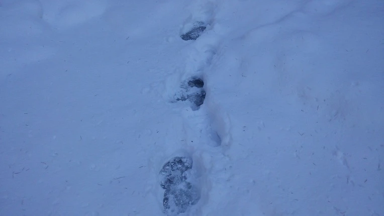 2750693E566120CA2B2251